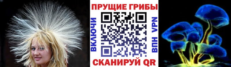 Галлюциногенные грибы ЛСД купить закладку Суоярви